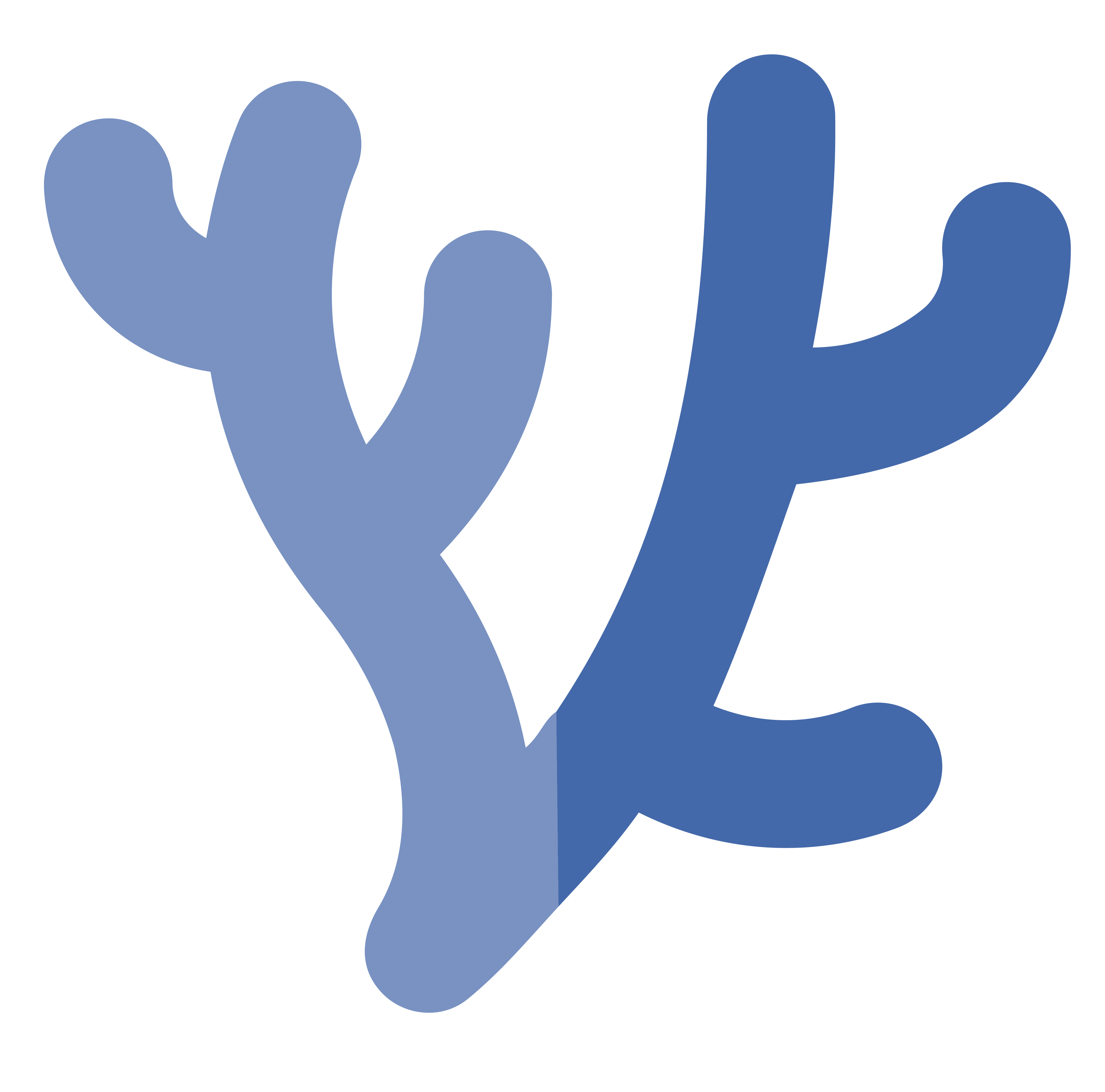 Let's plan your monitoring project | Reef Support | Reef Support