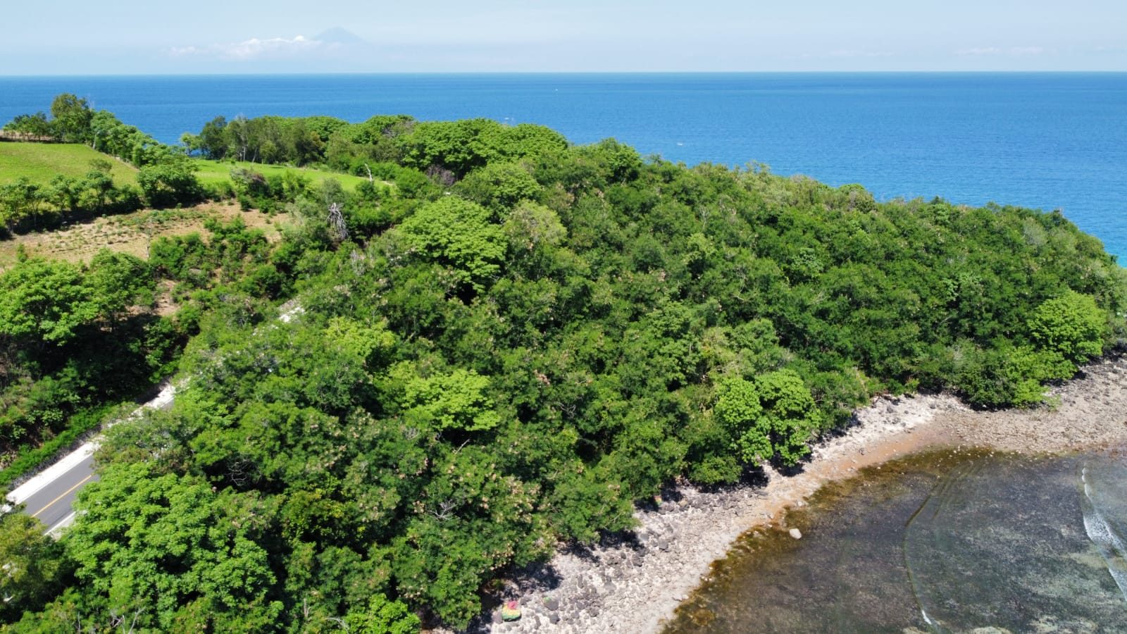 Coral Lab operational update