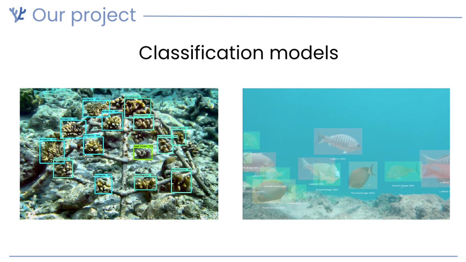 Hackathon presentation and judging session