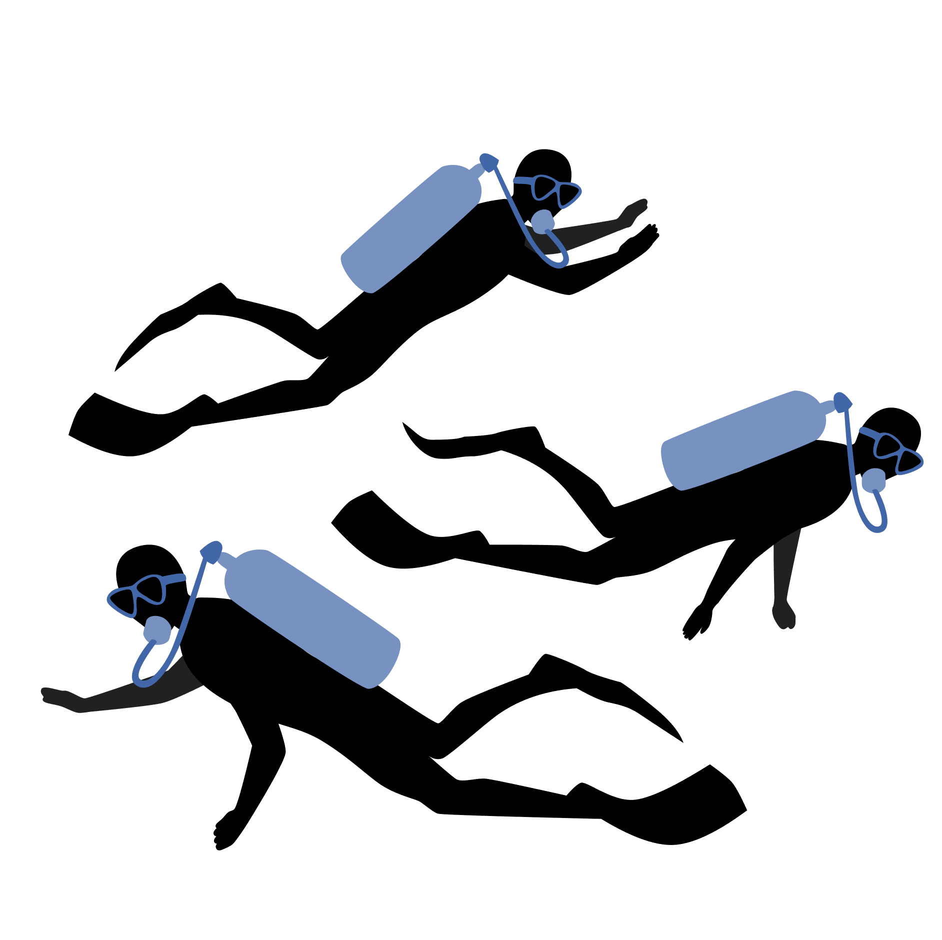 Reef Ranger Program icon