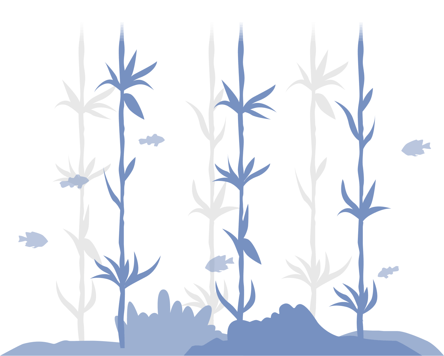 Seagrass & habitat mapping icon