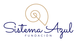 Blue System Foundation