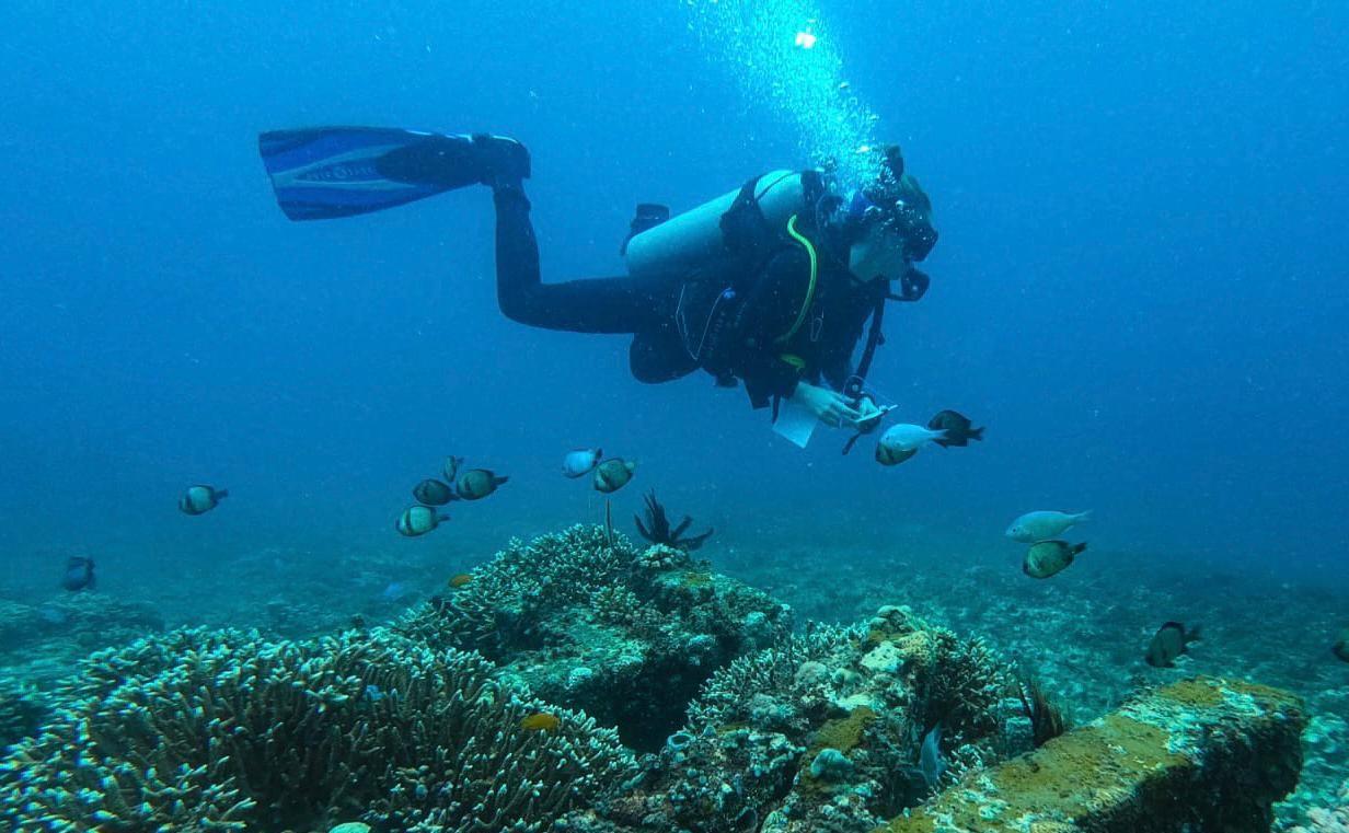 Help global marine research by collecting and labelling coral reef data and get paid!