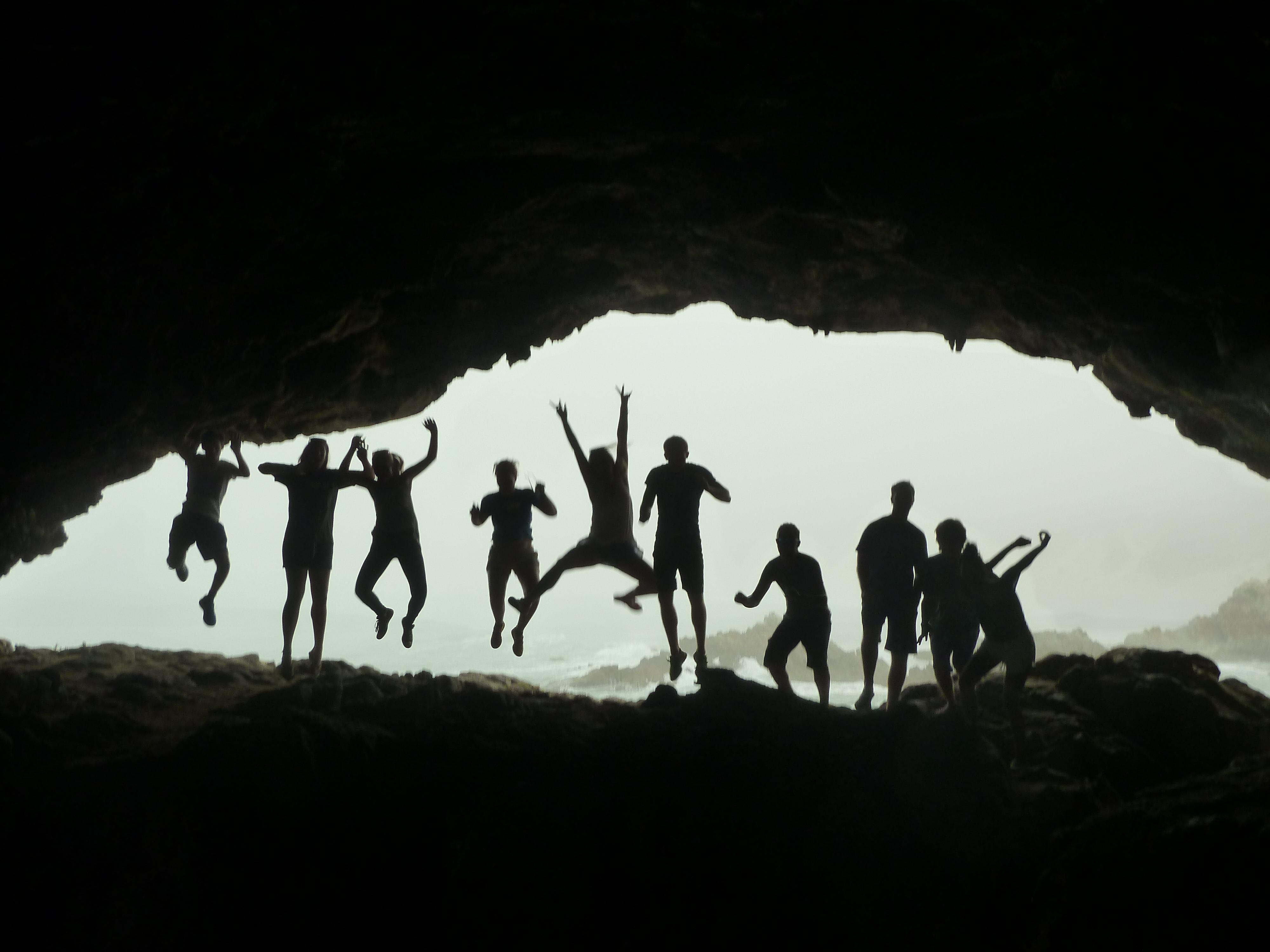 2 - 8 weeks Shark Conservation in Kleinbaai, South Africa