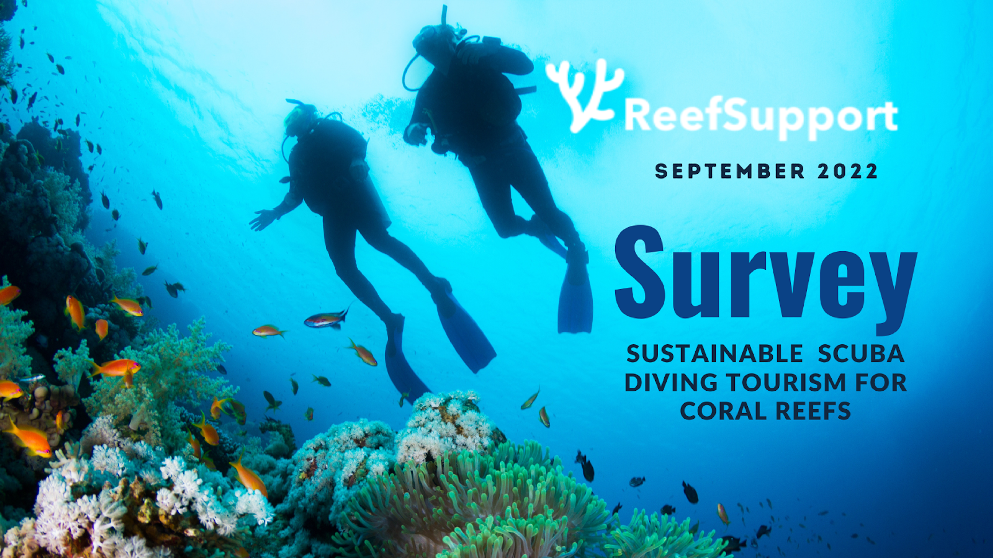 Reef Support Survey Reveals Wish for Sustainable Scuba Diving