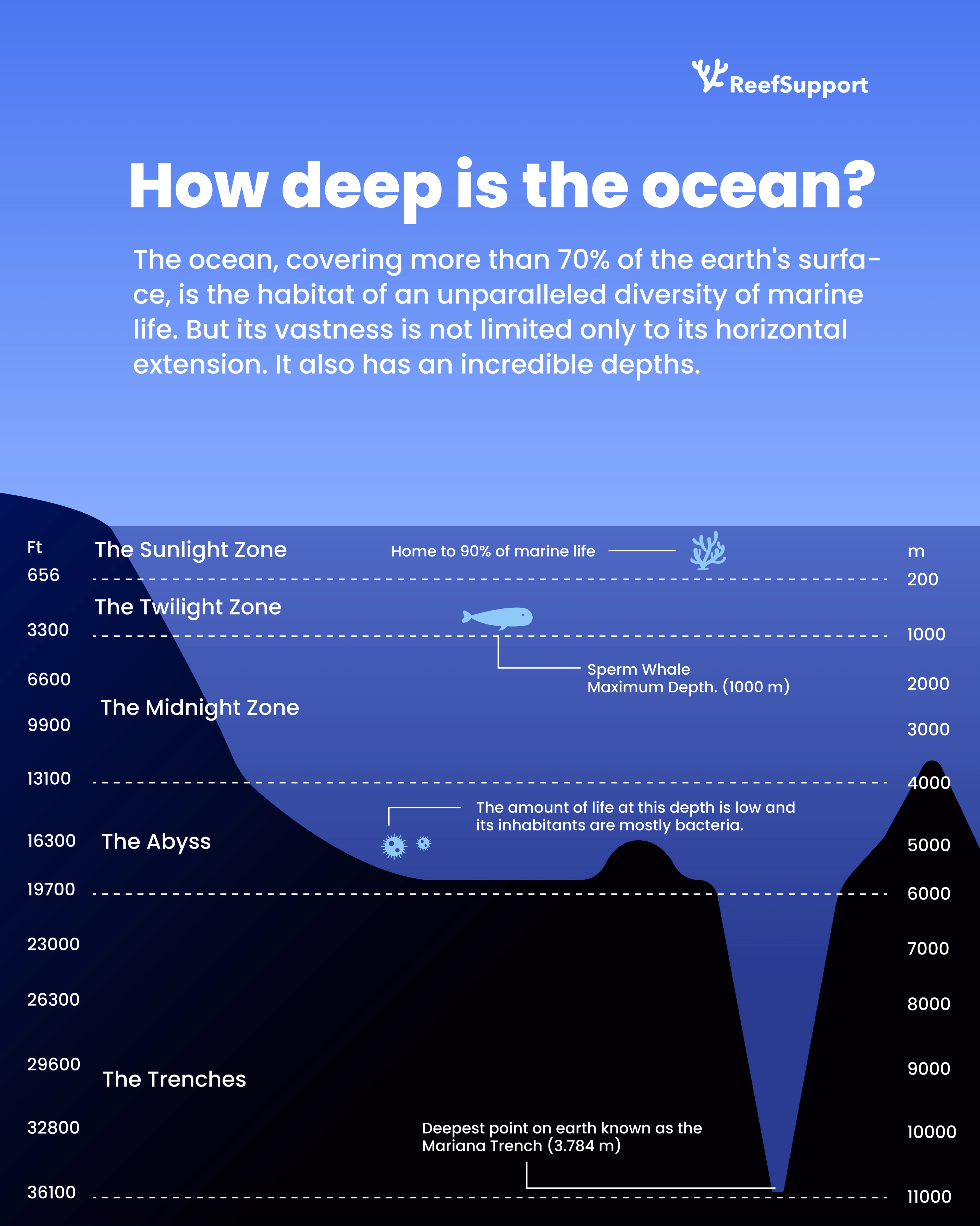 Exploring the Depths: How deep is the ocean