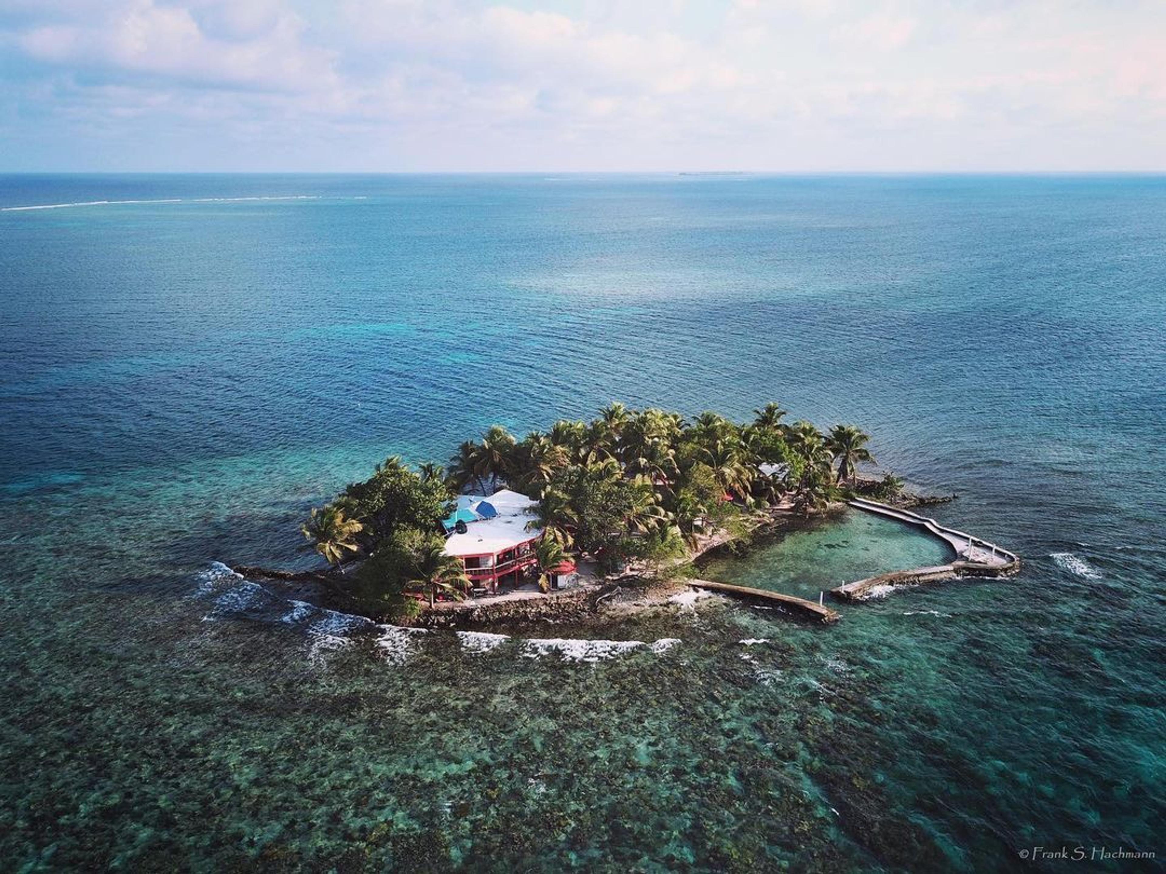 1 - 8 weeks Coral Monitoring in Placencia, Belize
