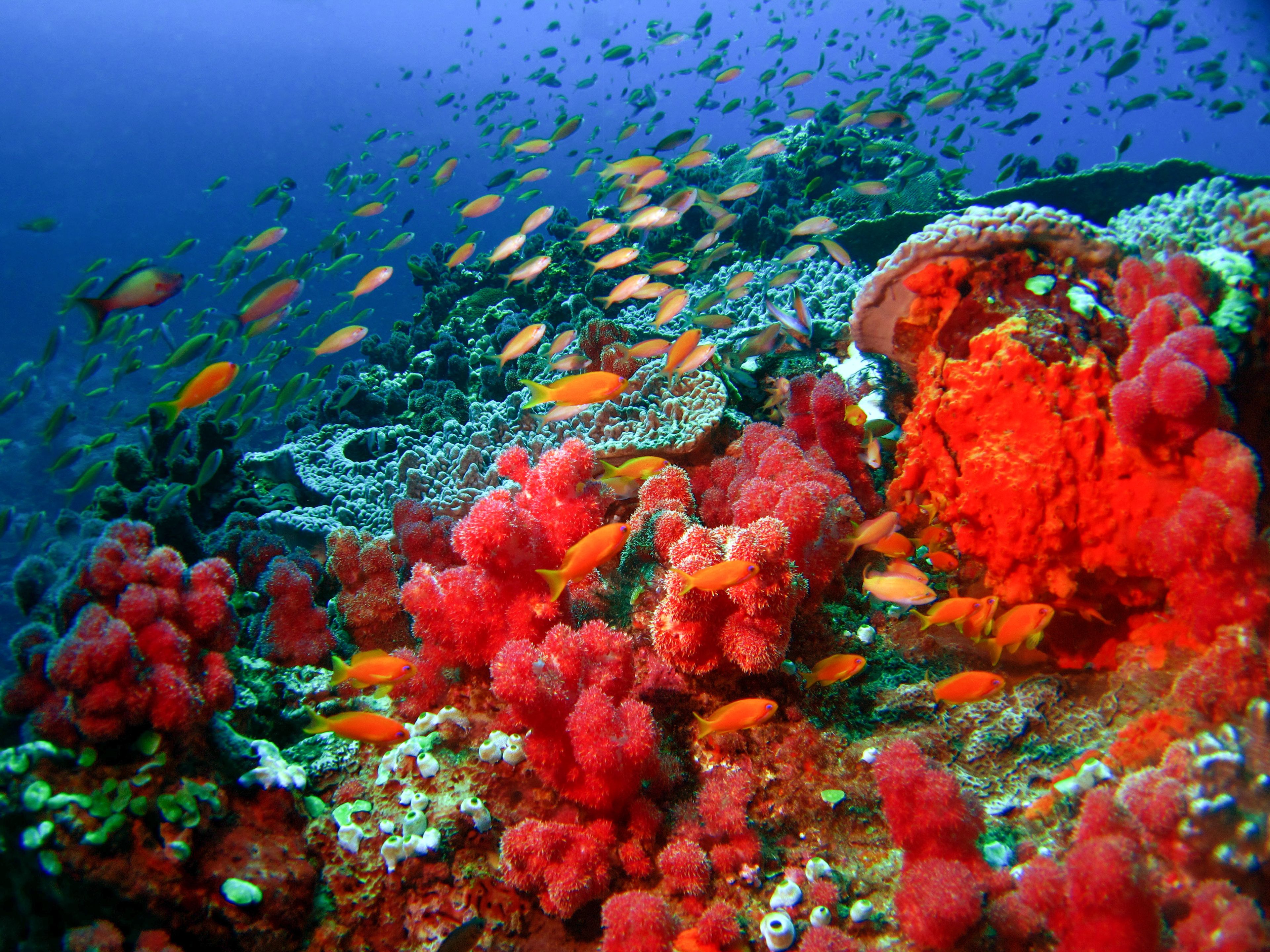 Sodwana Bay destination