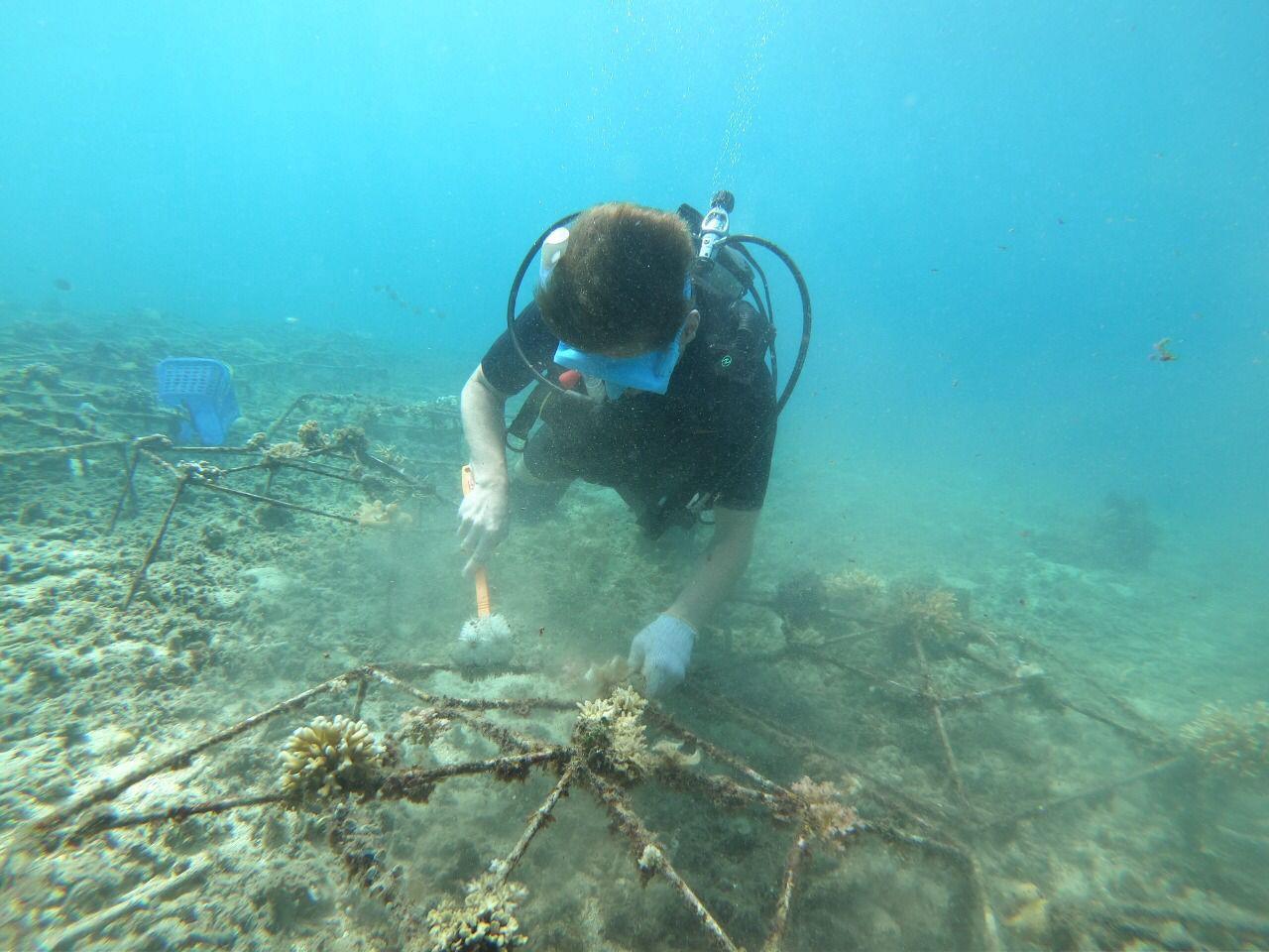 Jaap van den Langenberg