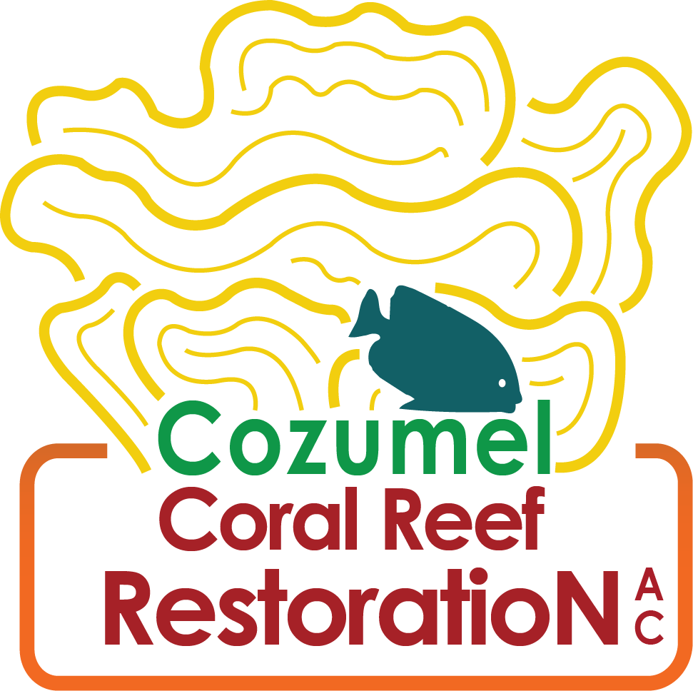 Cozumel Coral Reef Restoration
