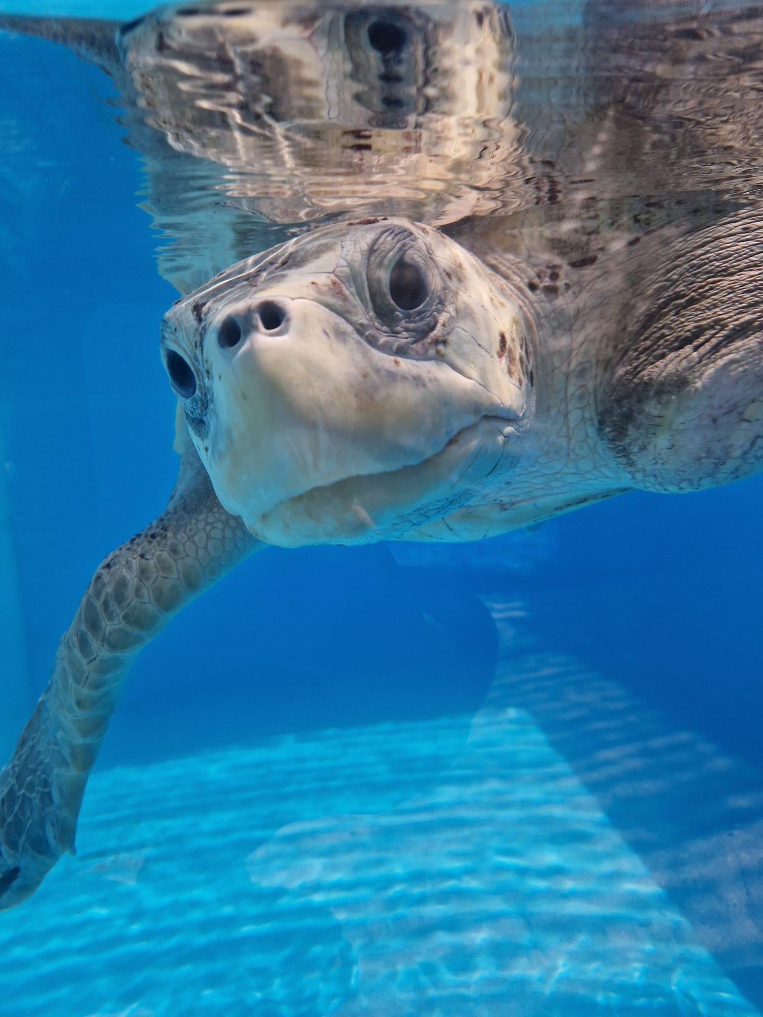 Asia region destinations